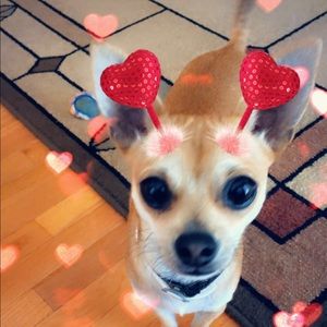 Meet your Posher, Mindi